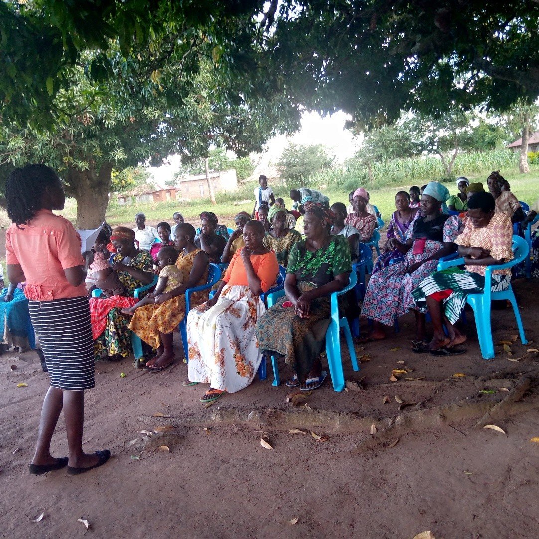 Acan Zerah awarded merit certificate (replace with actual photo)